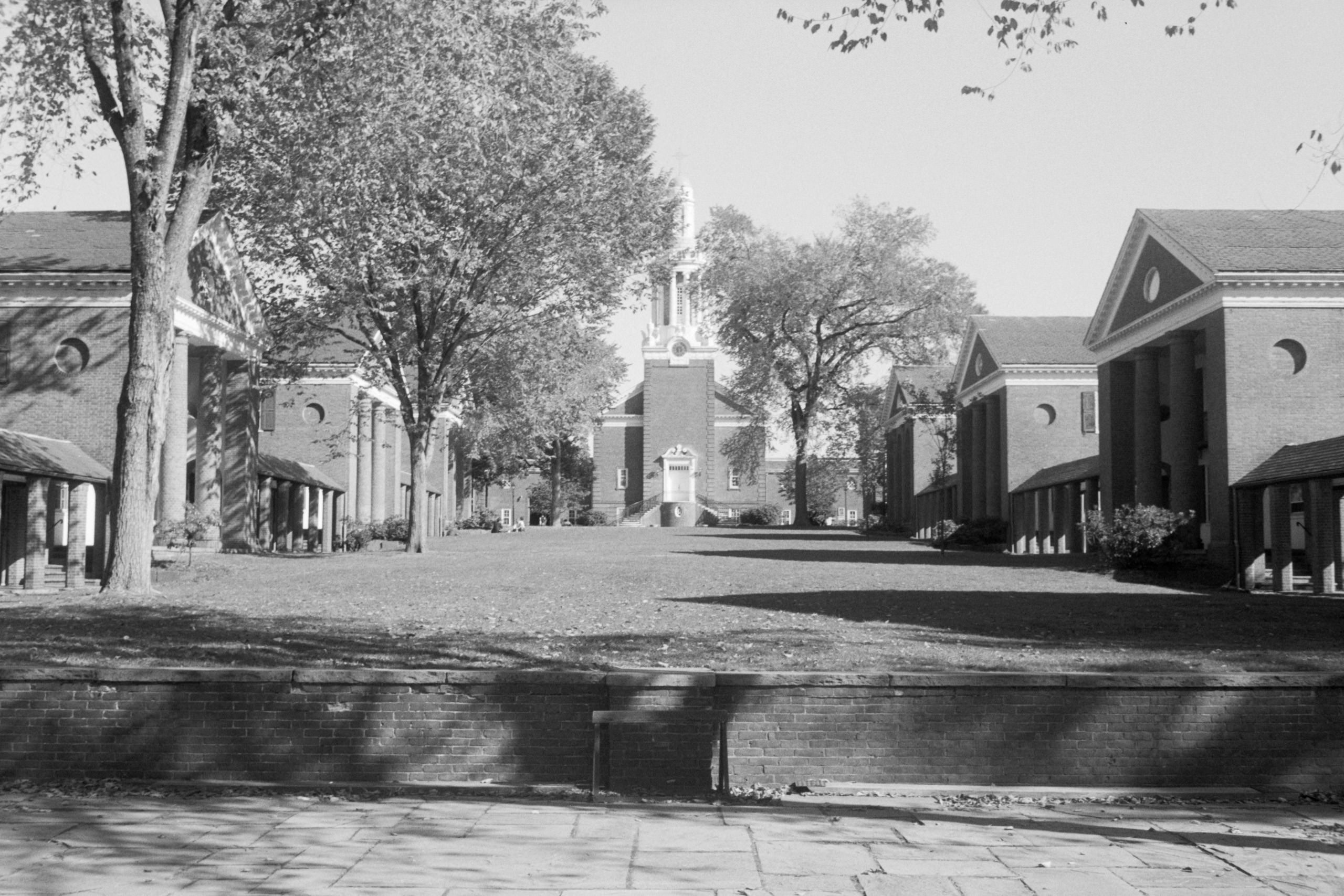 AHP FilmScan 240807 0852